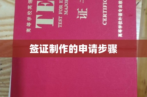 淅川签证制作的申请步骤