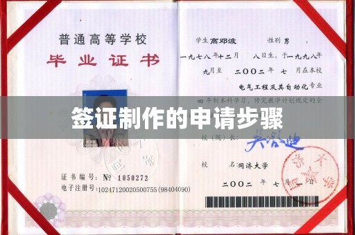 淅川签证制作的申请步骤