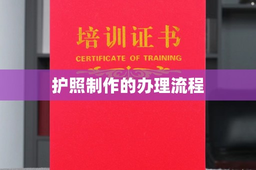 淅川护照制作的办理流程