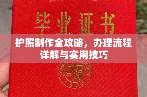 淅川护照制作全攻略，办理流程详解与实用技巧